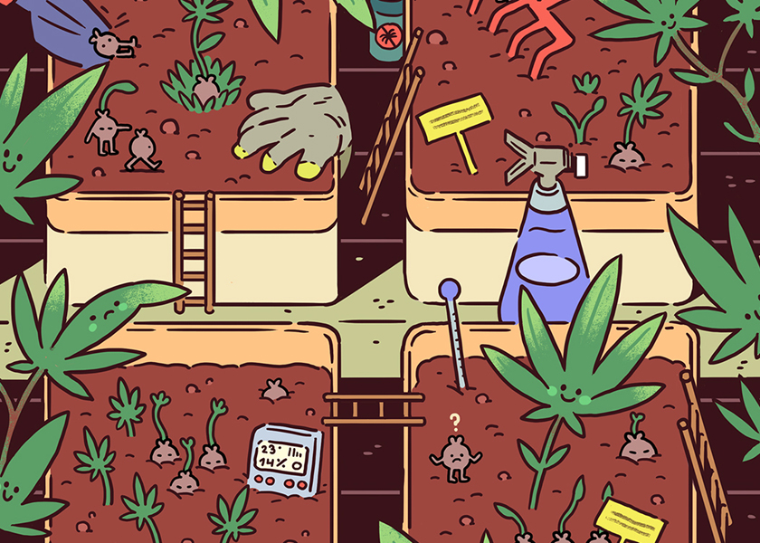 QR -код включен SACHETS CBD