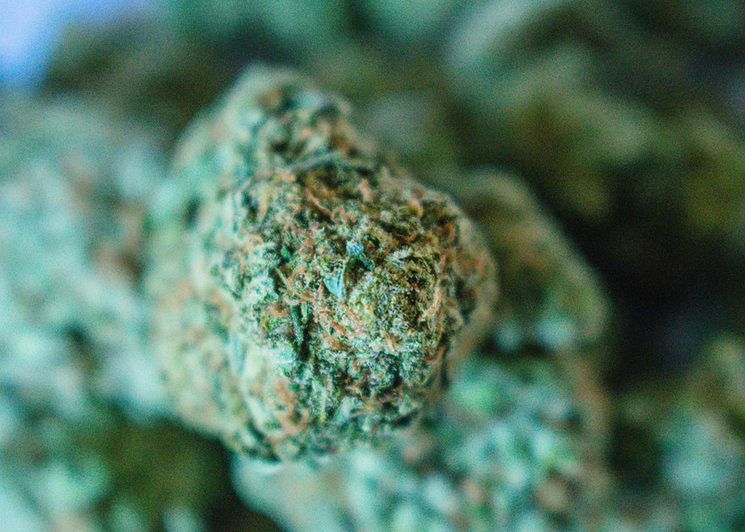 Прозрачные переработанные мешки Mylar для жевательных конфессий CBD