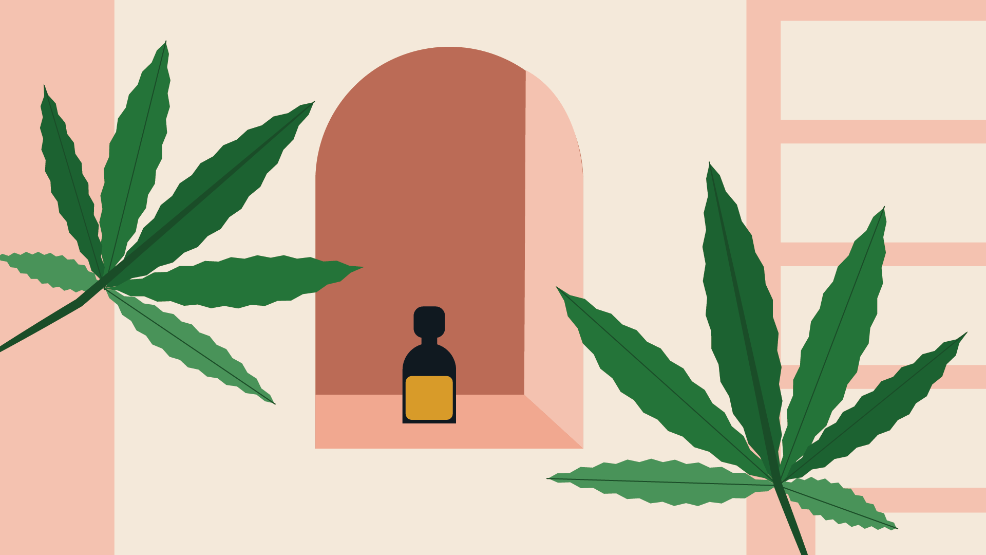 Экологичная упаковка каннабиса