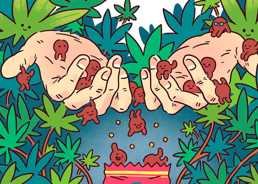 Поставщики упаковки Mylar Cannabis Mylar