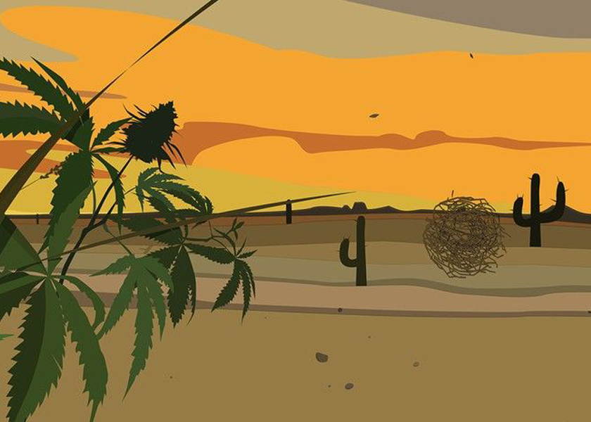 МЕТАВЕРСА, готовая THC упаковка